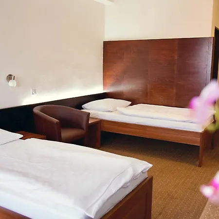 Hotel Merkur -
