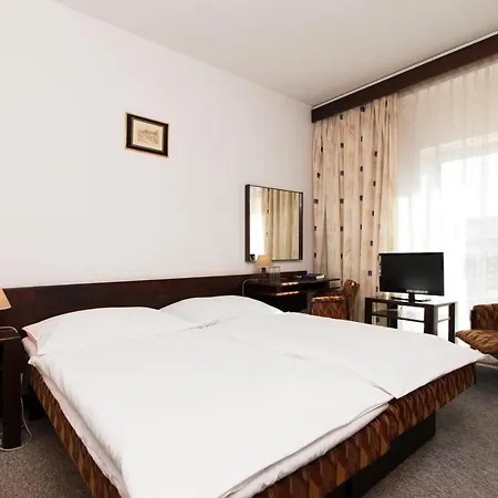 Hotel Merkur -