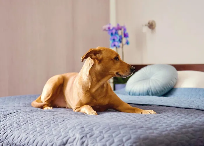 Merkur - Szálloda 3*