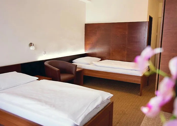 Hotel Merkur -